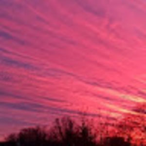 Meet your Posher, Jaylynn